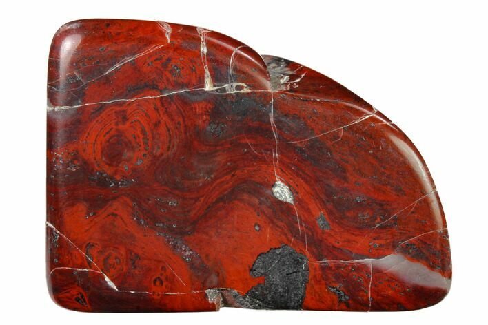 Polished Stromatolite (Collenia) - Minnesota #155580